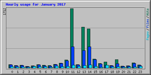 Hourly usage for January 2017